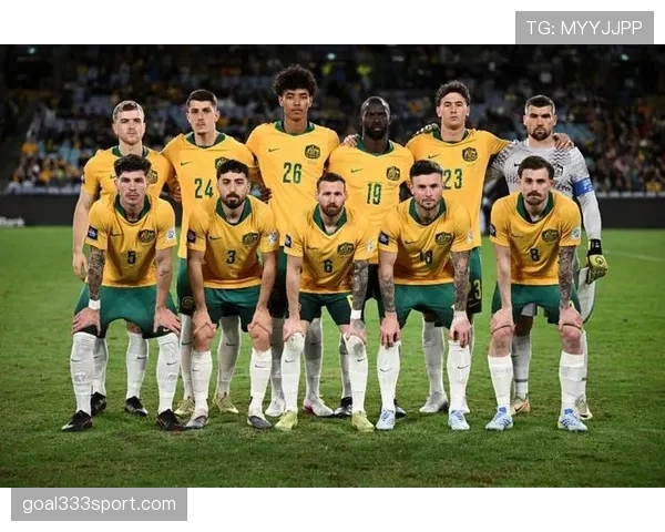 世界杯美国队D组赛程优势分析